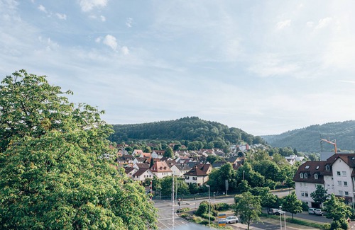Lohr am Main House | Living above the roofs of Lohr