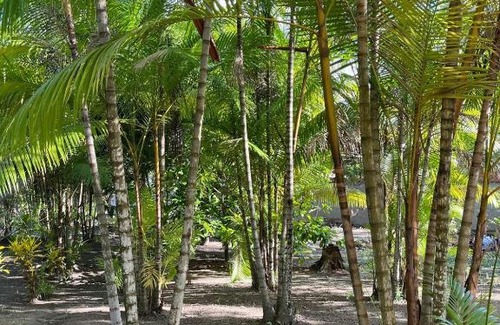 Monte Gordo House | Living nature