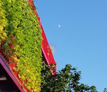 Ljubljana Apartment | Ljubljana's terrace
