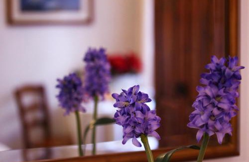 Rocca Massima Bed & Breakfast | Locanda dell'Arcangelo