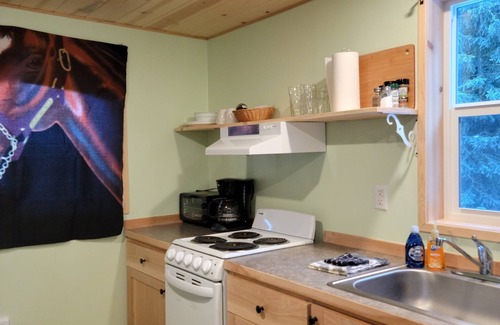 North Powder Cabin | Located 9 miles from Anthony Lakes Mountain Resort.