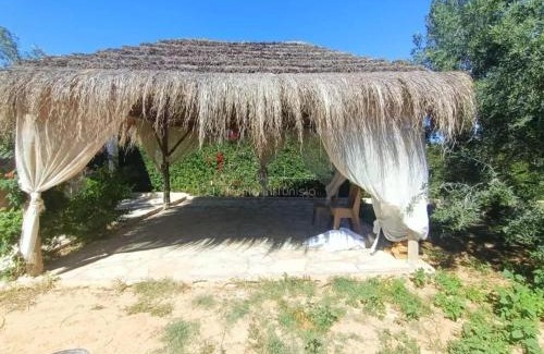 Bardo Villa | location villa avec piscine a chott meriem
