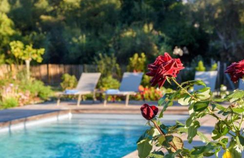 Lecci Villa | Lodge Les Oliviers