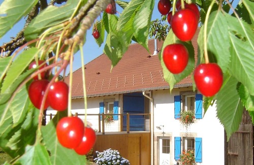 Girmont-Val-d'Ajol Cottage | Lodging in the heart of nature between forests and meadows
