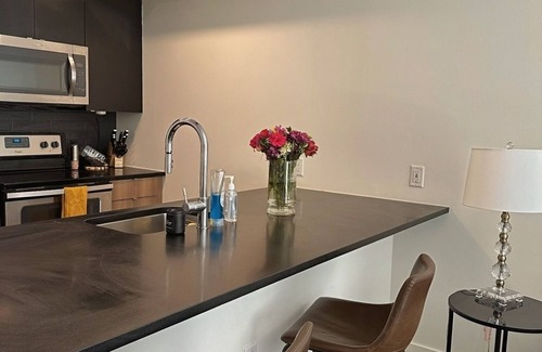LoDo Apartment | LODO 1-bedroom Designer Apartment Meets Mile High Charm