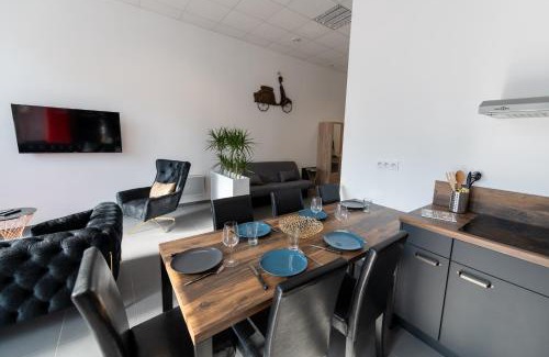 Rive-de-Gier Apartment | LOFT LA MINE D'OR - Parking gratuit et privé - Wifi - Tout équipé - Machine à laver