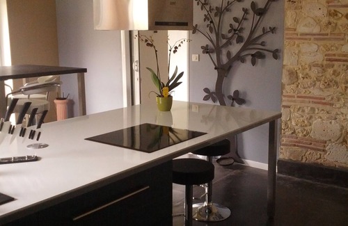 Saint-Pierre-du-Palais Cottage | Loft with Jacuzzi and Sauna by the river.