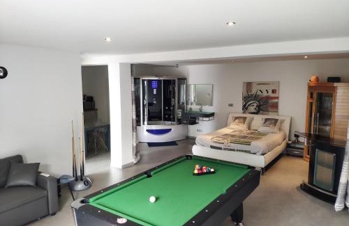 Agen Apartment | Loft Zen SPA Balneo Parking Gratuit Sauna Hammam Billard