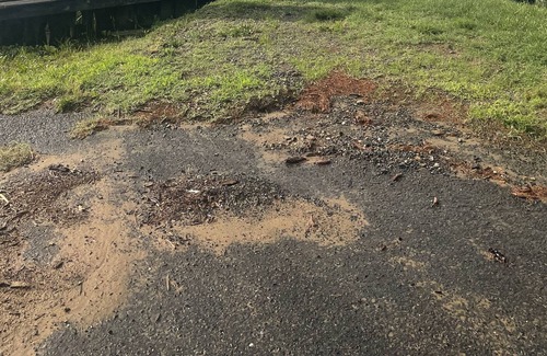 Golts Cabin | Log Cabin in the woods in nature in a secluded peaceful place.