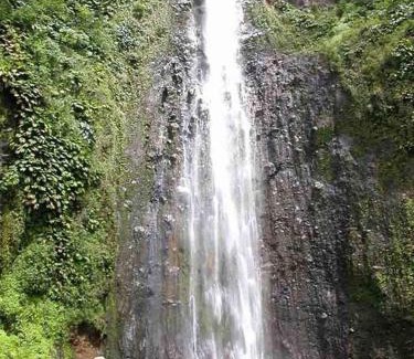 Basse-Terre Apartment | Logement dans un lieu calme et verdoyant à proximité de tout avec Jacuzzi!