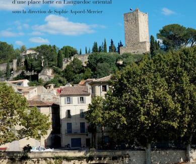 Sommieres Apartment | Logement du Sud avec Jacuzzi