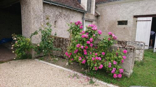 Saint-Jean-Saint-Germain House | Longère du sud Touraine au Coeur du Val de Loire