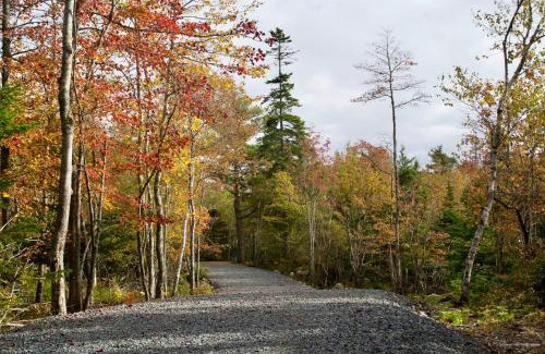 Halifax House | Long Lake Getaway - Quiet Accessible Suite with no Stairs/Steps