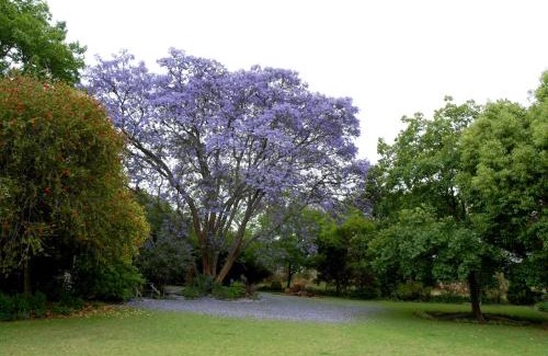 Lydenburg House | Longtom Farm Guesthouse