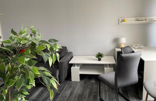 Aluksne Apartment | Look into the distance