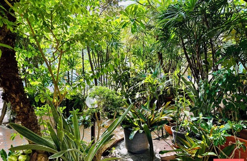 Nong Prue Villa | Los Santos Pattaya Luxury Pool Villa