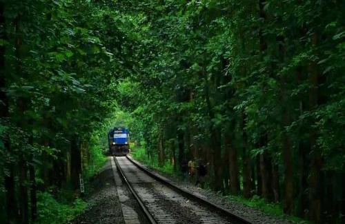 Malappuram House | Lose yourself in natures luxury