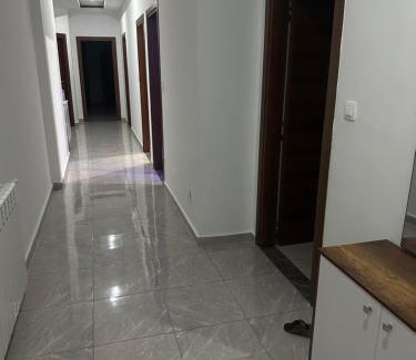 Algeria Apartment | Lounaa