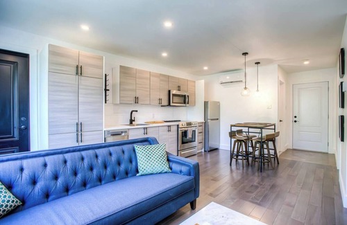 Pointe-Saint-Charles Apartment | Lovely 2 BDRs renovated condo near DT, metro