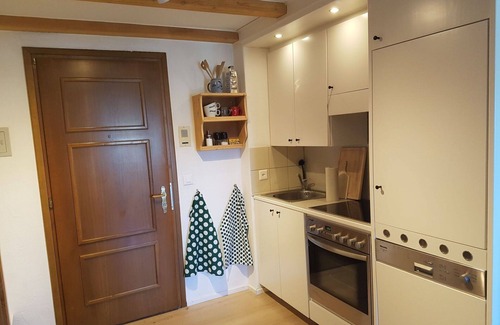 Surlej Apartment | Lovely apartment for 2 guests with WIFI, TV, balcony, pets allowed and parking