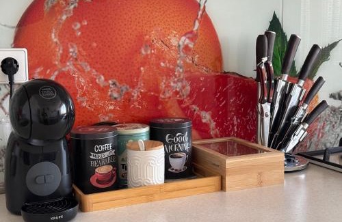 Cahul Apartment | Lovely cozy apartment - Cahul