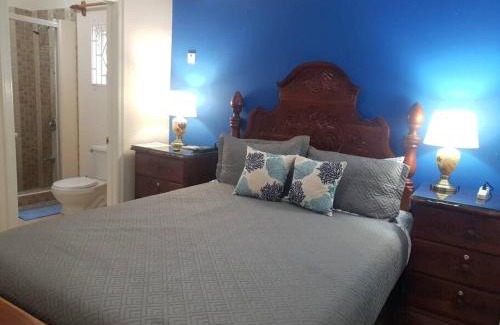Mammee Bay Apartment | Lovely Ensuite Getaway with Pool