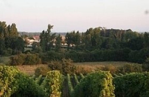 Saint-Bonnet-sur-Gironde House | Lovely Family House With Private Pool