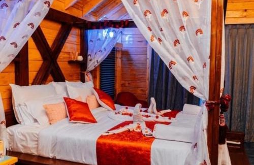 Kukatpally Housing Board Colony House | Lovely Hawk Wooden Cottage