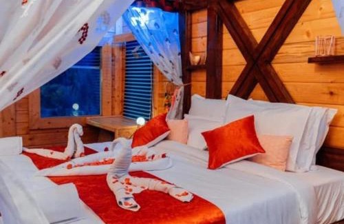 Kukatpally Housing Board Colony House | Lovely Hawk Wooden Cottage