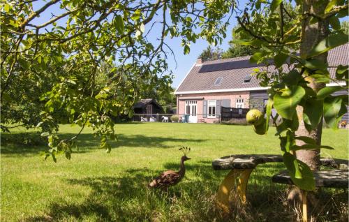 Municipality of Borsele House | Lovely Home In Ovezande With Sauna