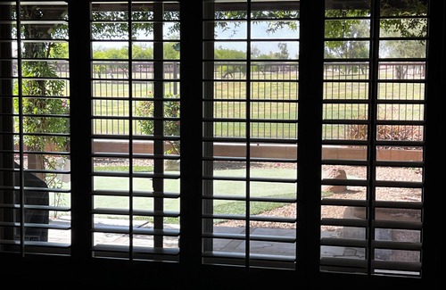 Queen Creek House | Lovely medium sized home on Las Colinas Golf Course