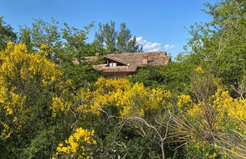 Sarnano Bed & Breakfast | Luci sui Monti