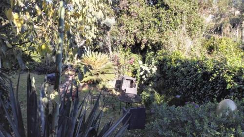 Carrubazza-Motta House | Lucrezia Garden Catania
