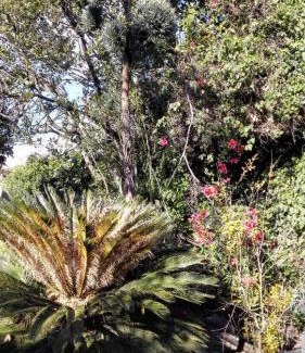 Carrubazza-Motta House | Lucrezia Garden Catania