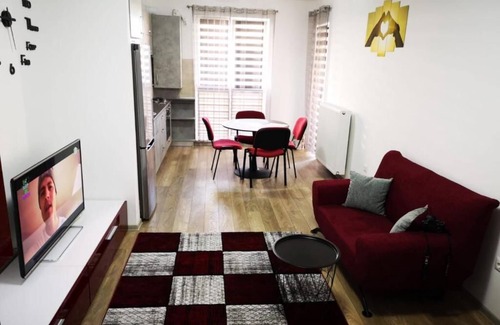 Tirgu Mures Apartment | Ludi House Apartment