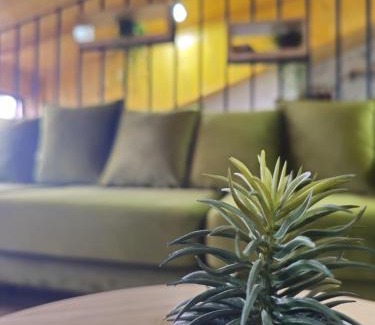 Tirana Apartment | Lulebore Apartament 1