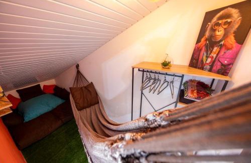 Cayenne Apartment | Lumina kanopé - DestinationGuyane - Séjours d'affaires