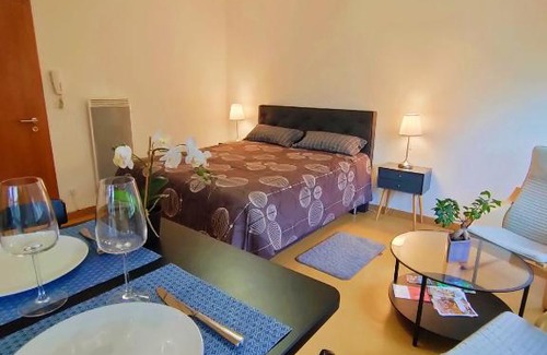 Thann Apartment | Lumineux Appartement Free Parking Nature Ville tt équipé