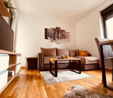 Zlatibor Apartment | Lux Apartmani Vojinović