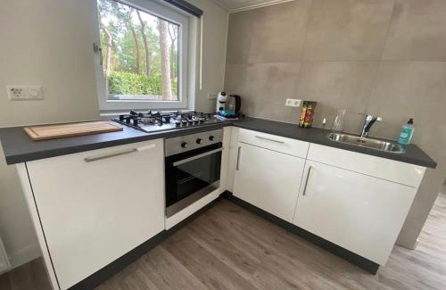 Doornspijk Ski Chalet | Luxe groot chalet voor 6 personen op de Veluwe!