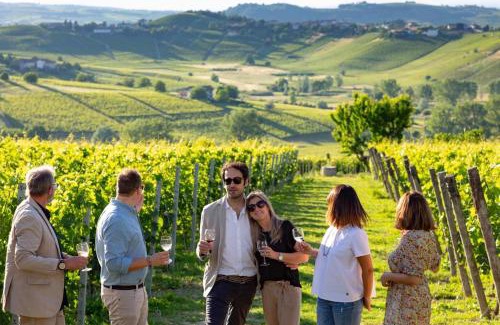 Canelli Villa | Luxe Villa, All Ensuites & Private Vineyard Views