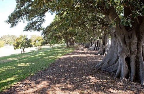 Hamilton Apartment | Luxurious Apartment