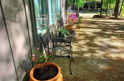 Tougaloo Apartment | ✨Luxurious & Dreamy Den in Exclusive Neighborhood✨