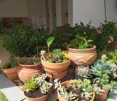 Agia Triada Apartment | Luxury apartment in front of the Sea in Agia Triada