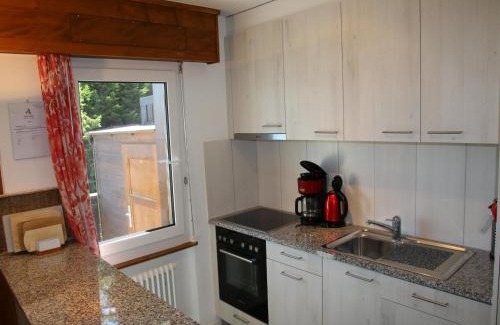 Veysonnaz Apartment | Luxury apartment in the heart of valley
