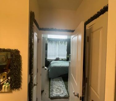 Storrs Apartment | Luxury Apartment UConn