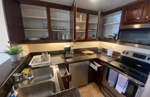 University City Apartment | -Luxury central, spa and pool LJ condo