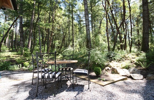 Saanich Cottage | LUXURY FRENCH COTTAGE SURROUNDED BY NATURE, FOREST BATHING ANYONE?