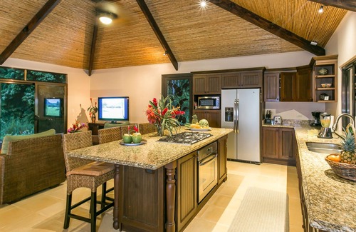 Dominicalito Villa | Luxury Jungle Villa~Honeymoon Privacy~Ocean View~Infinity Pool~Wildlife~A/C