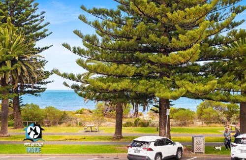 Victor Harbor House | Luxury Ocean Front 3BR Home in Central Victor